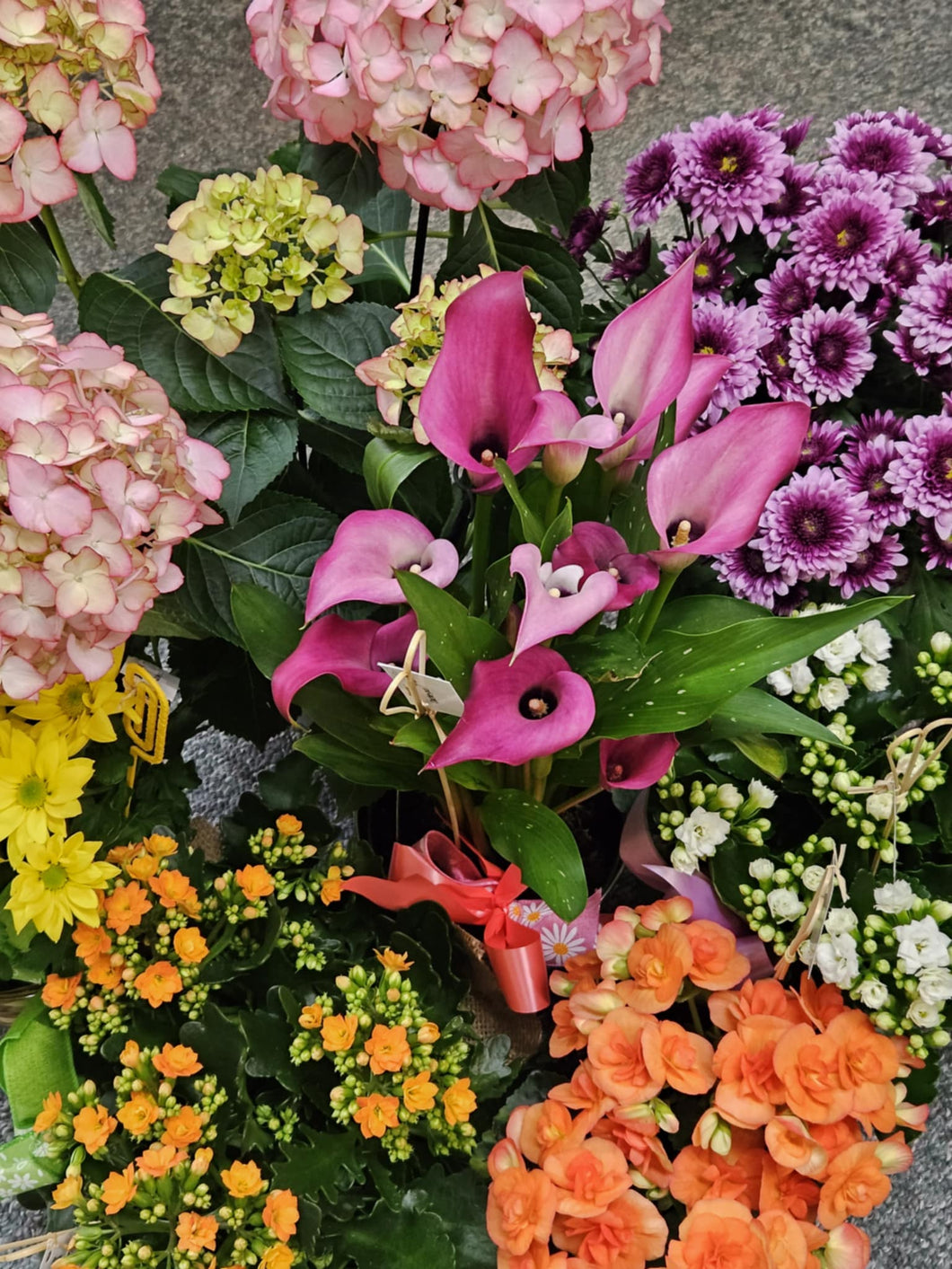 PLANTES À FLEURS - Choix de la fleuriste