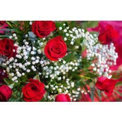 6 Roses élégantes - Fleuriste Pour Vous Inc